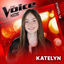 Cover You Raise Me Up (aus "The Voice Kids, Staffel 14") (Live)
