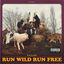 Cover Run Wild Run Free