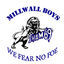 Cover Millwall Boys