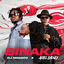 Cover BINAKA