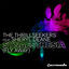 Cover Synaesthesia (Fly Away)