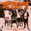 Cover Springplank 2