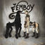 Cover Femboy