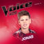 Cover Dancing on My Own (aus "The Voice Kids - Staffel 13") (Live)