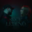 Cover Srce Ledeno