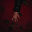 Cover RED ROSE