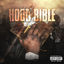 Cover Hood Bible