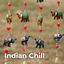 Cover Indian Chill