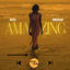 Cover Ama-zing
