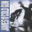 Cover James and the Cold Gun
