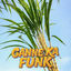 Cover GANNE KA FUNK