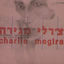 Cover פראגמנטים רוקנ'רוליים