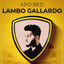 Cover Lambo Gallardo