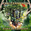 Cover Cura da Floresta