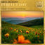 Cover Perfect Day