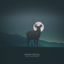 Cover Immaterial