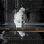 Cover NQNT 2