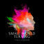 Cover Small World Turning