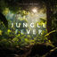 Cover Jungle Fever