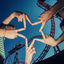 Cover Superstar