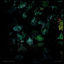 Cover No8 Sintra