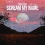 Cover Scream My Name
