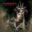 Cover Ritual