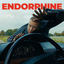 Cover Endorphine