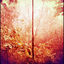 Cover Enchanted Hallways