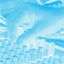Cover Blue