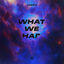 Cover WHAT WE HAD