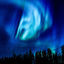 Cover Nova