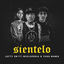 Cover Sientelo