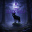 Cover The Black Wolf
