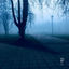 Cover stay.