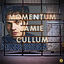 Cover Momentum
