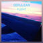 Cover Flight