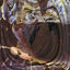 Cover W
