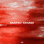 Cover Manu Chao