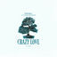 Cover Crazy Love