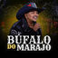 Cover Búfalo do Marajó