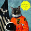 Cover Surfing The Void
