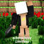 Cover Limitless