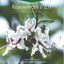 Cover Emeraude: résonances d'été
