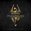 Cover Skyrim: Dragonborn