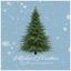Cover A Midwest Christmas