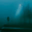Cover mid-morning fog