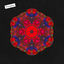 Cover Everglow