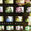 Cover INSTANT ALTER
