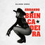 Cover Errando de Brincadeira